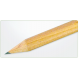 Ołówek z drewna FSC